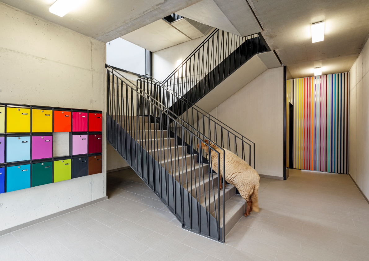 Markantes Treppenstahlgeländer und farbige Briefkastenalage.